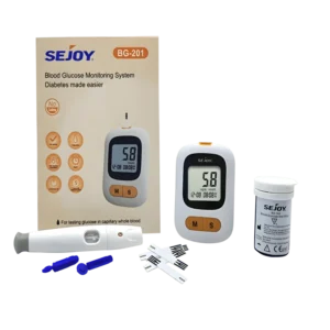BLOOD GLUCOSE MONITORING SYSTEM