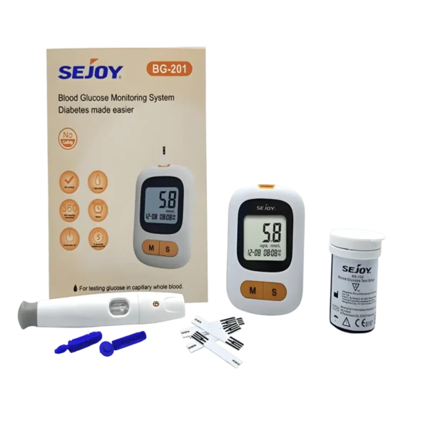 BLOOD GLUCOSE MONITORING SYSTEM