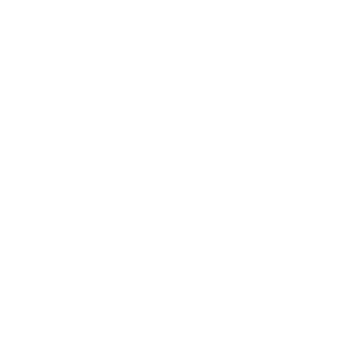 Expert Consultation